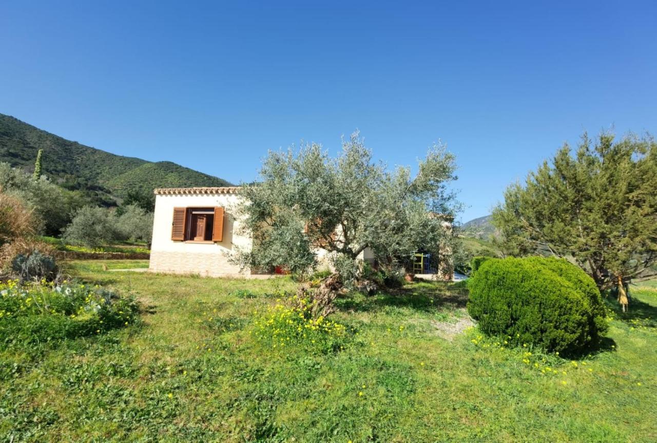 Domu Abi Manna Villa Tertenìa Екстериор снимка